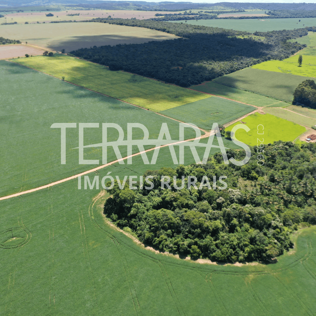 FAZENDA EM BELA VISTA