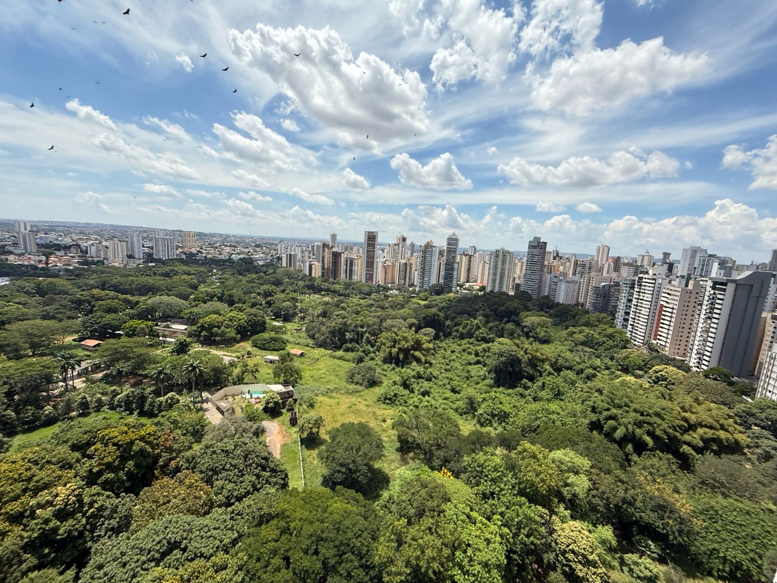 APARTAMENTO 4 SUITES PLENAS NO SETOR OESTE - POEME LAGO DAS ROSAS