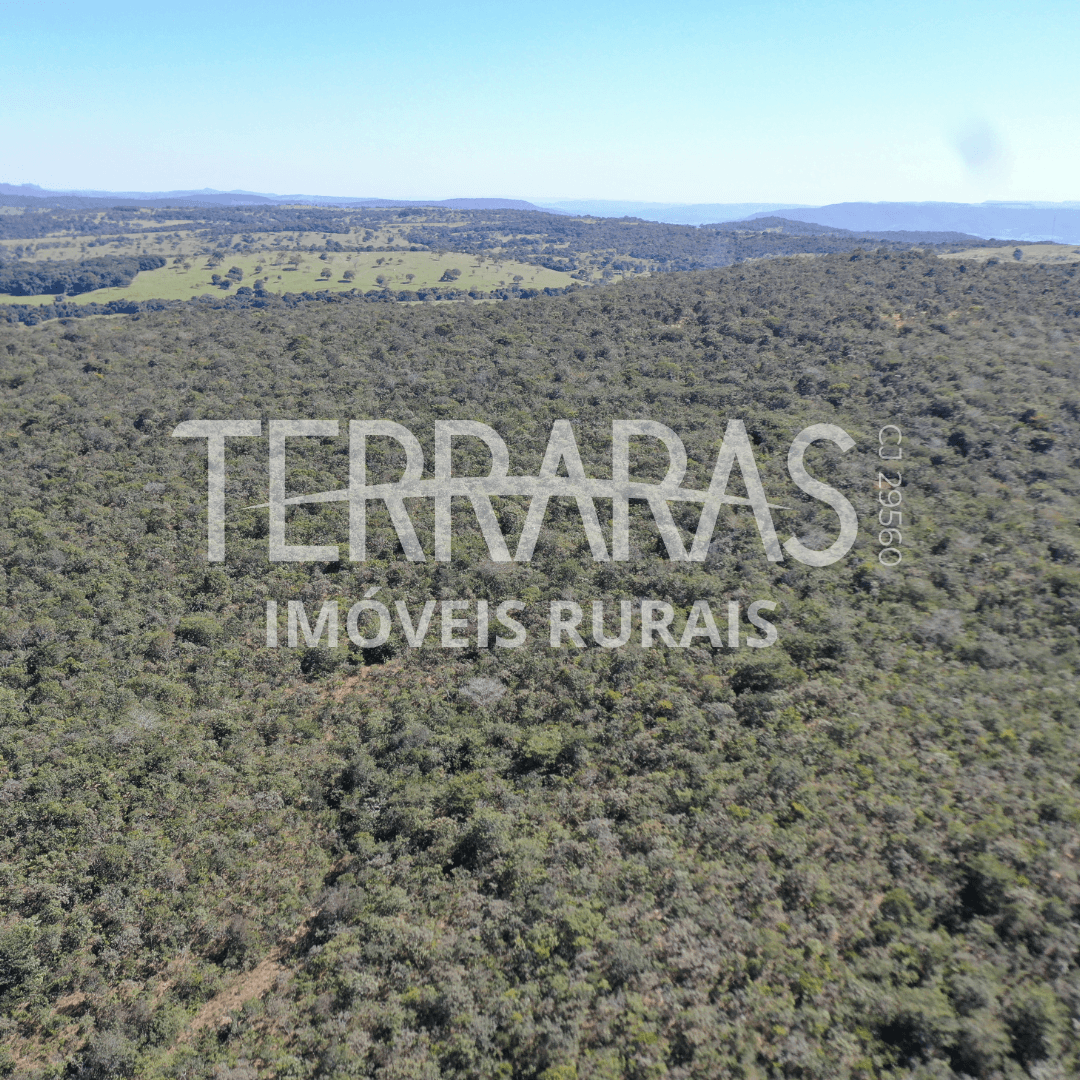 FAZENDA EM AURILÂNDIA