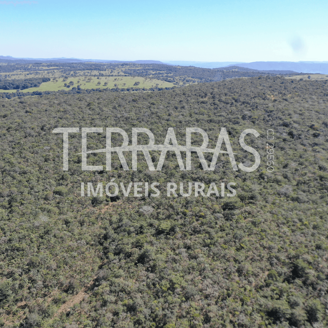 FAZENDA EM AURILÂNDIA