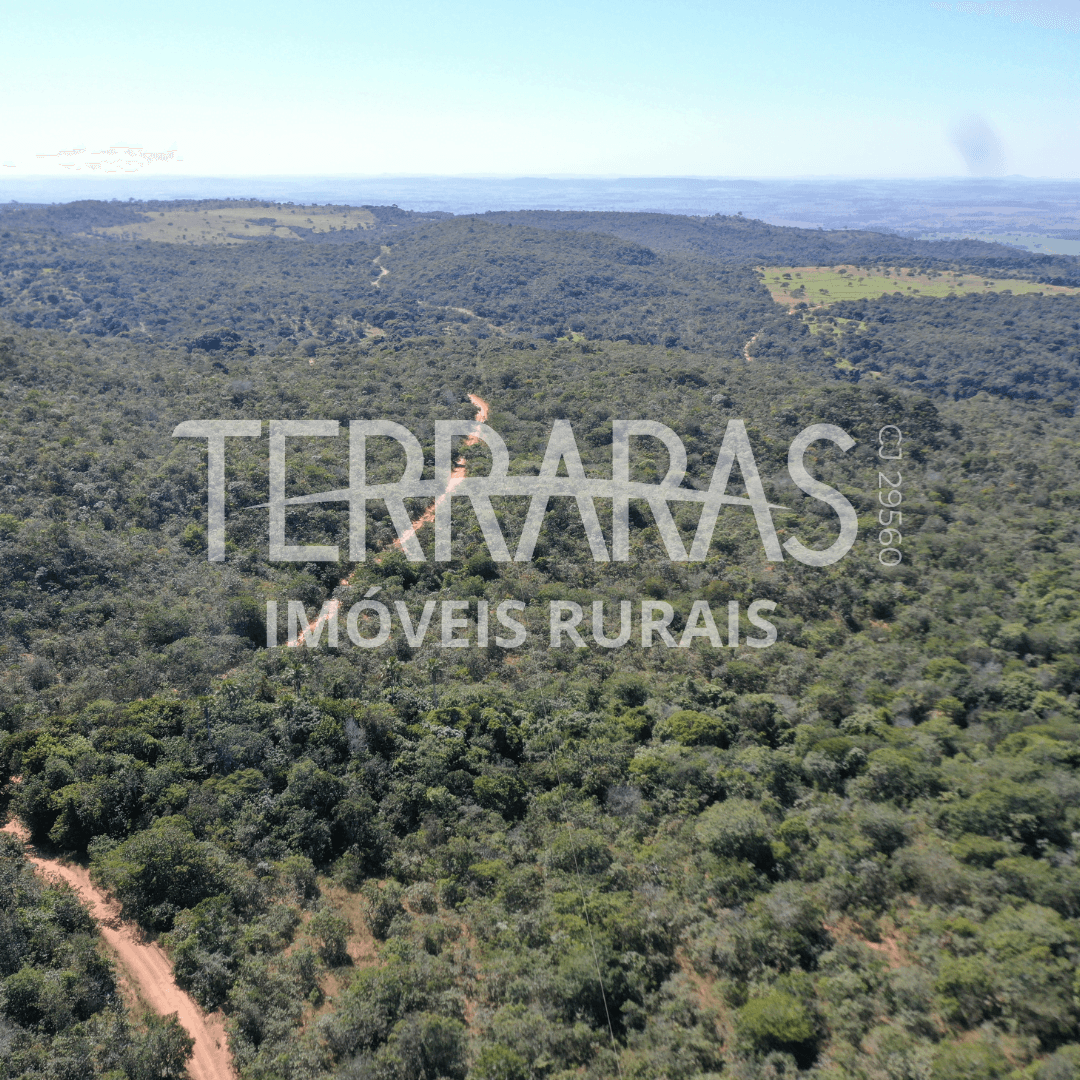 FAZENDA EM AURILÂNDIA