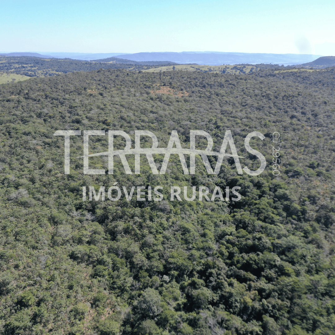 FAZENDA EM AURILÂNDIA
