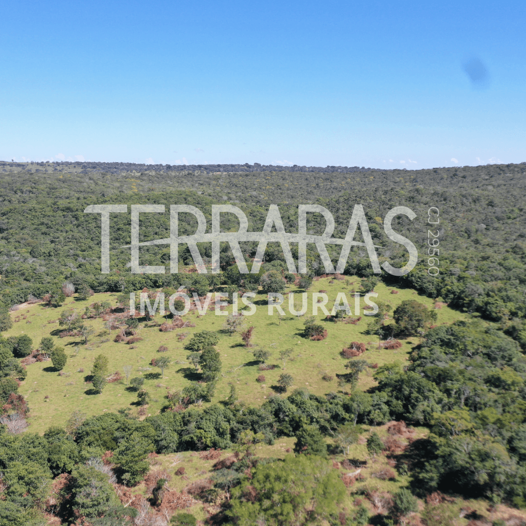 FAZENDA EM AURILÂNDIA