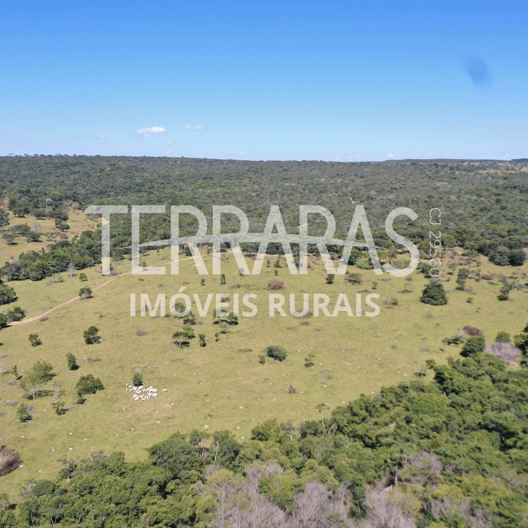 FAZENDA EM AURILÂNDIA