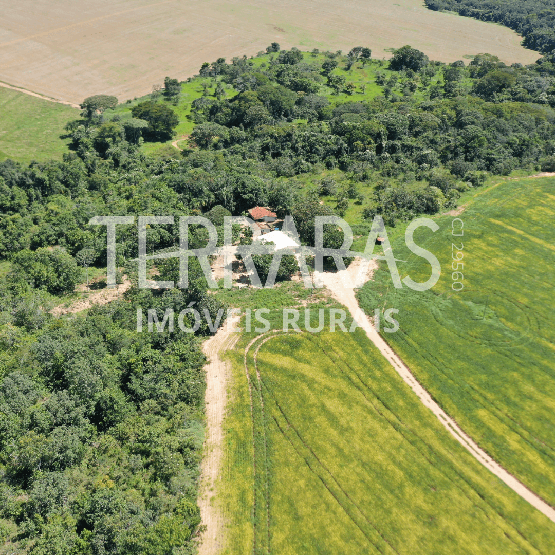 FAZENDA EM BELA VISTA