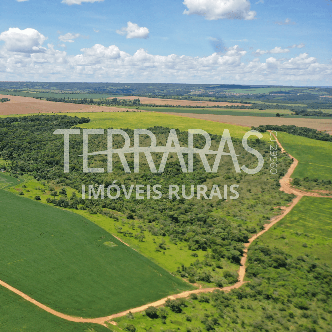 FAZENDA EM BELA VISTA