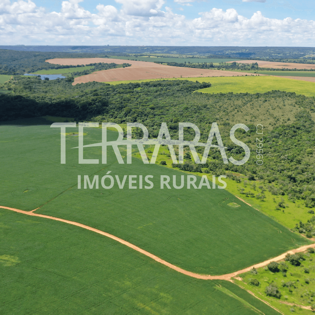 FAZENDA EM BELA VISTA