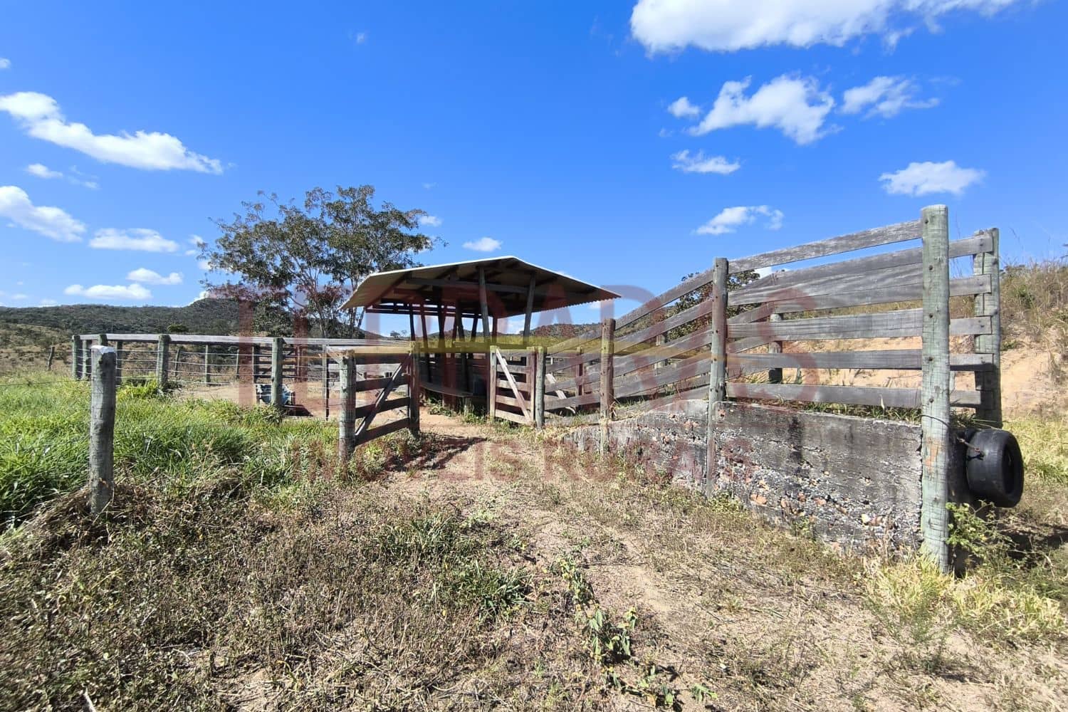 Fazenda em Calcilândia/Go
