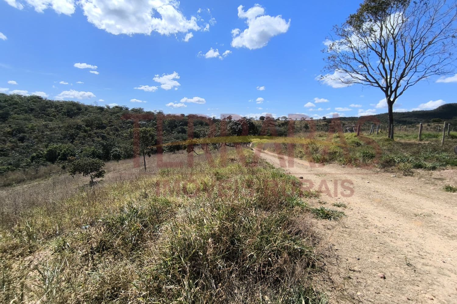 Fazenda em Calcilândia/Go