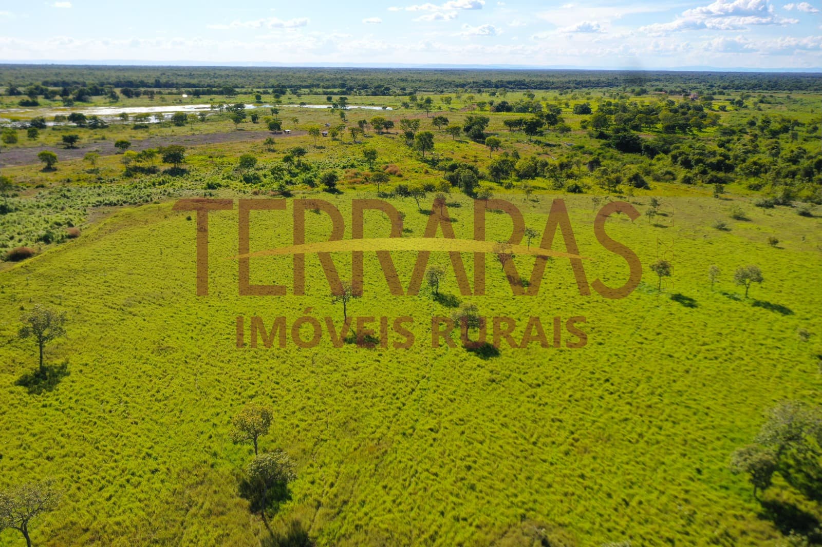 FAZENDA EM FLORES DE GOIÁS/GO