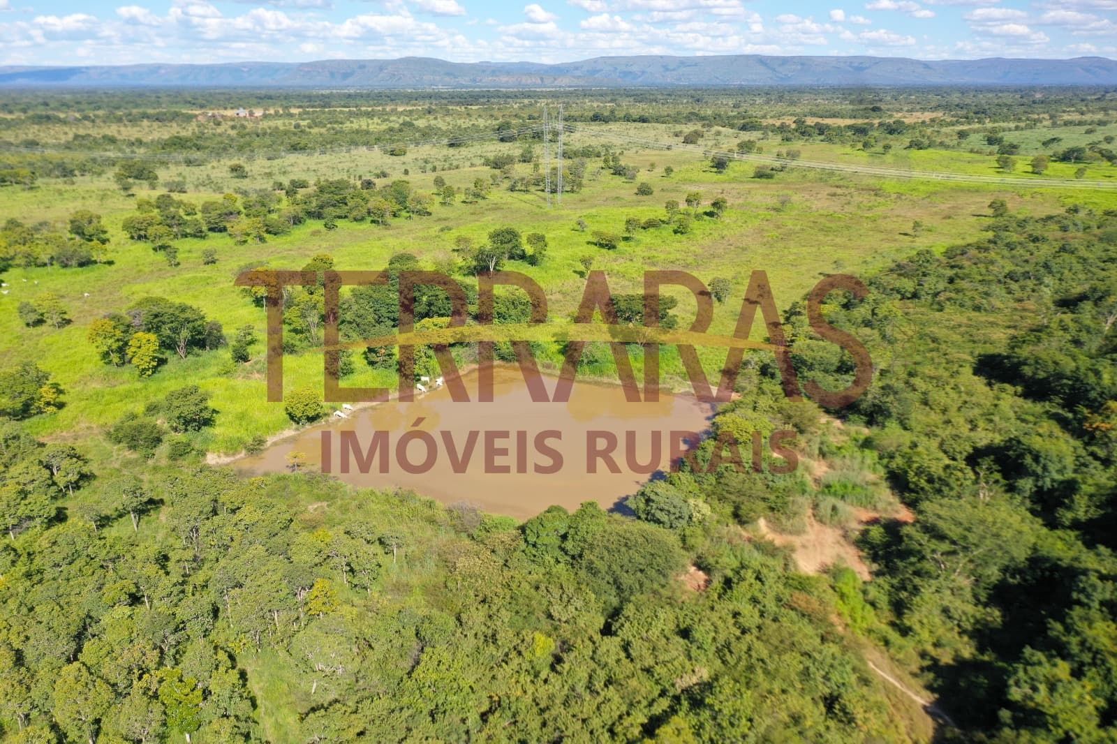FAZENDA EM FLORES DE GOIÁS/GO