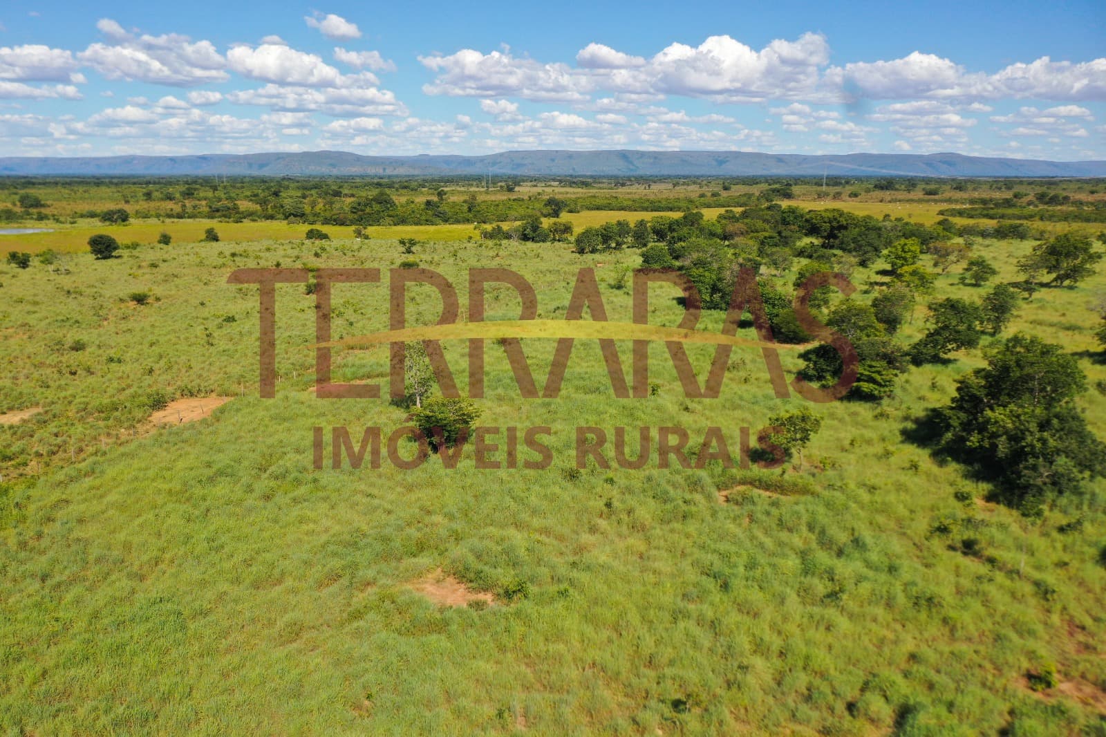 FAZENDA EM FLORES DE GOIÁS/GO