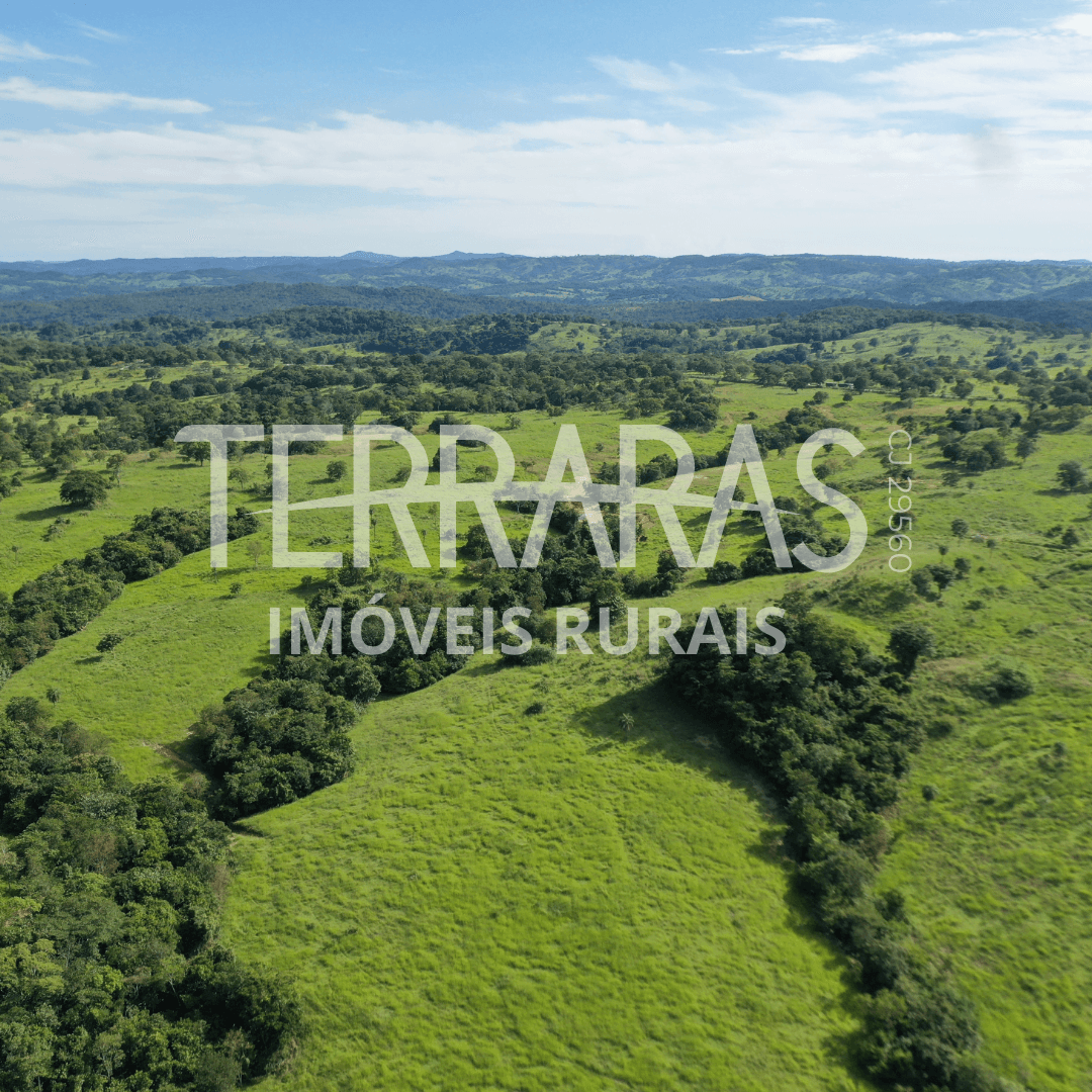 FAZENDA EM GOIÁS