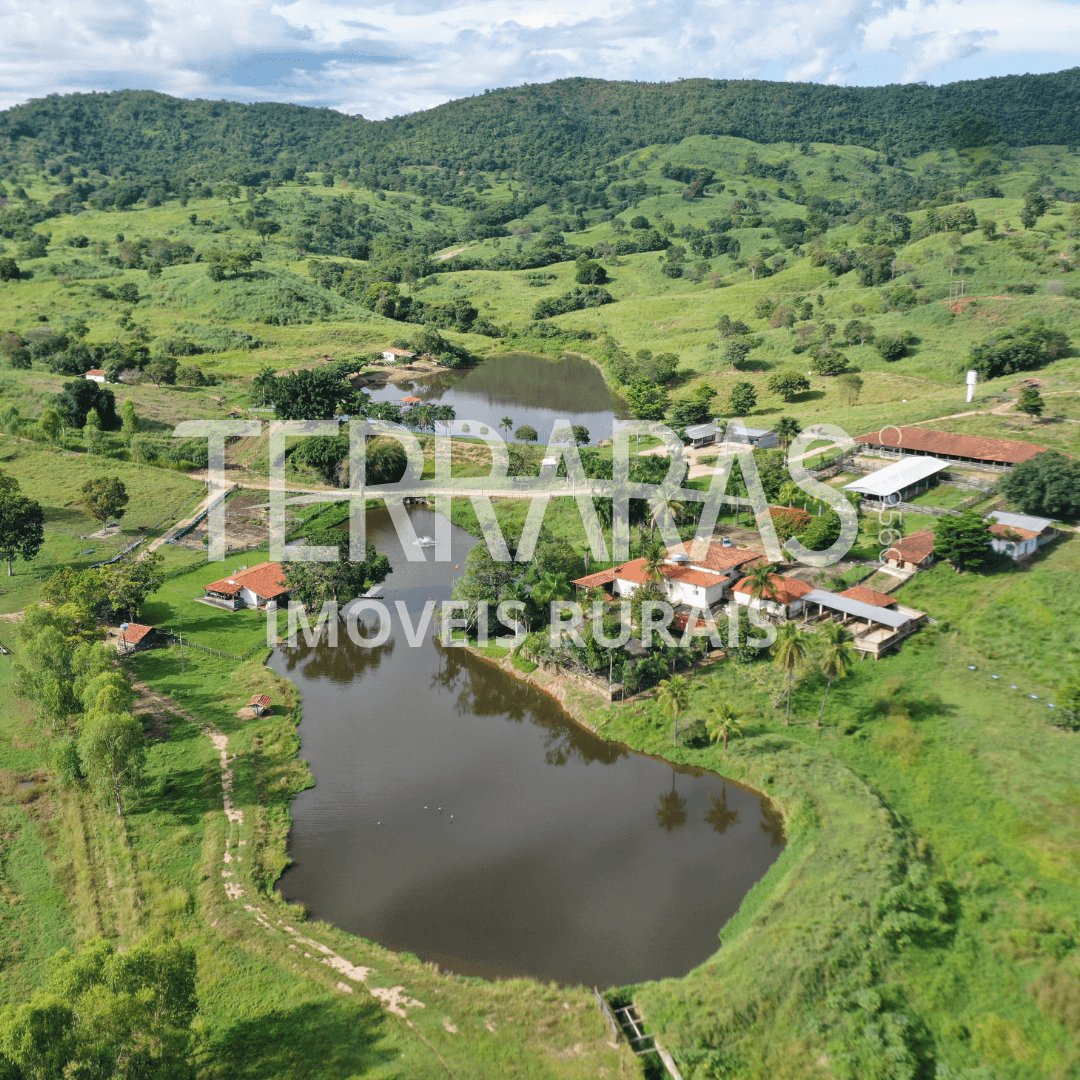 FAZENDA EM GOIÁS