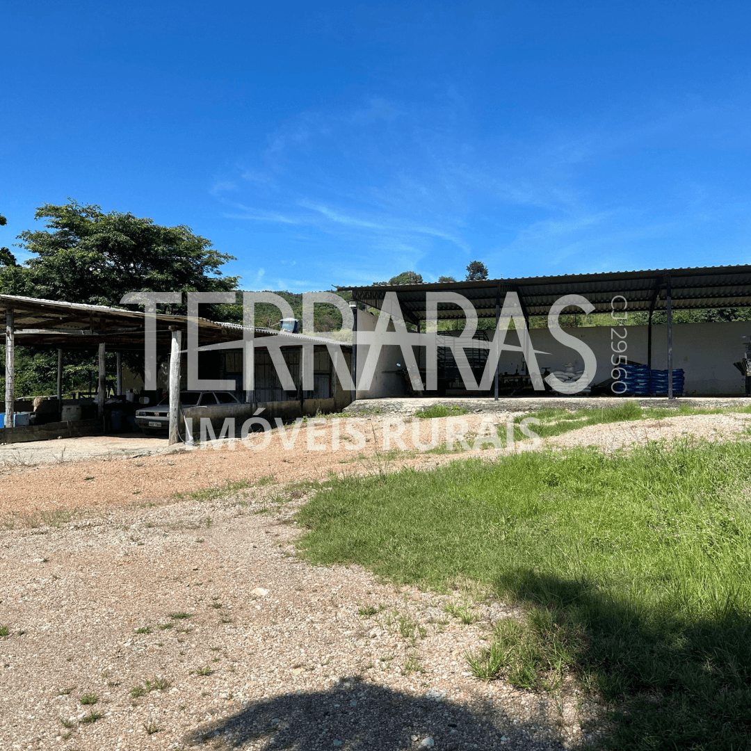 FAZENDA EM GOIÁS