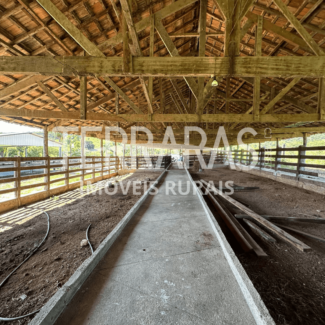 FAZENDA EM GOIÁS