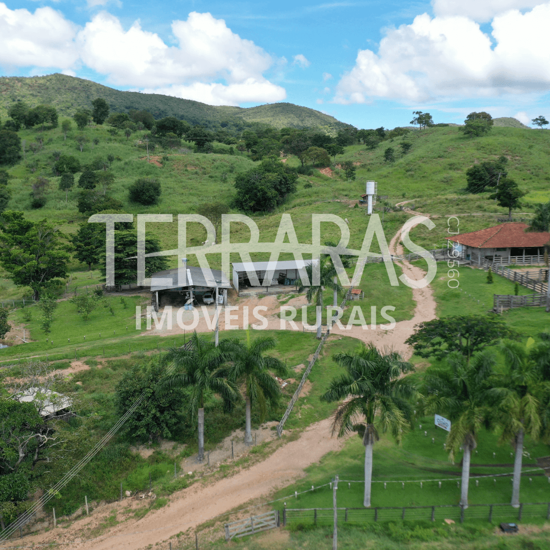 FAZENDA EM GOIÁS