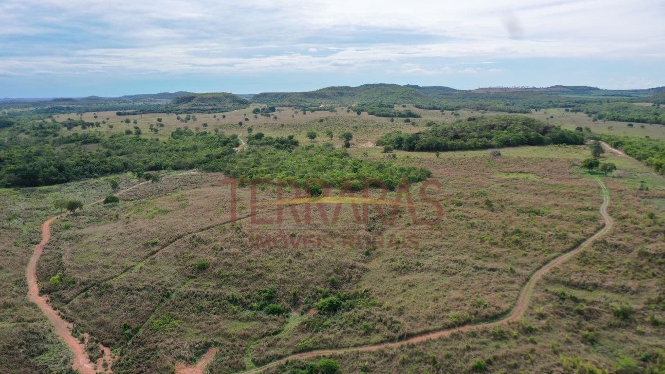 Fazenda em Nova Xavantina/MT