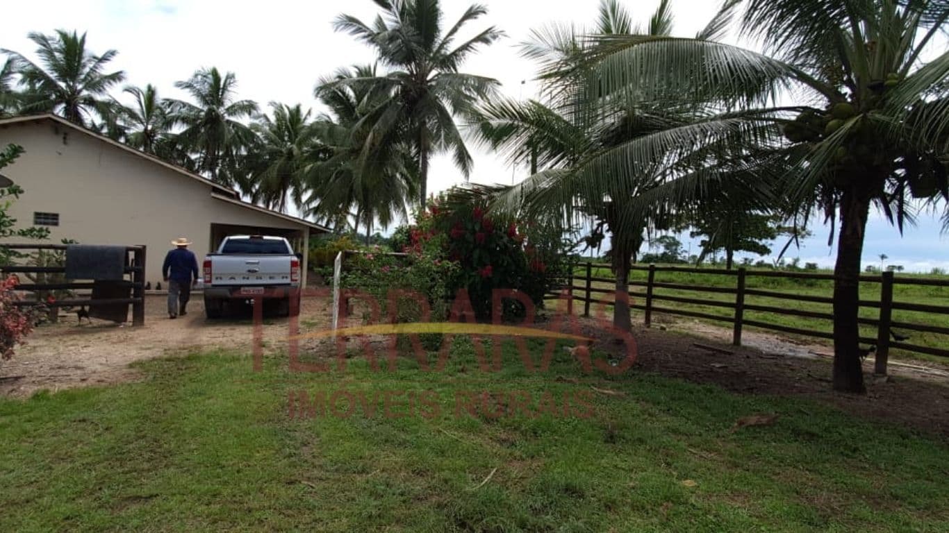 Fazenda em Santa Fé do Araguaia - TO