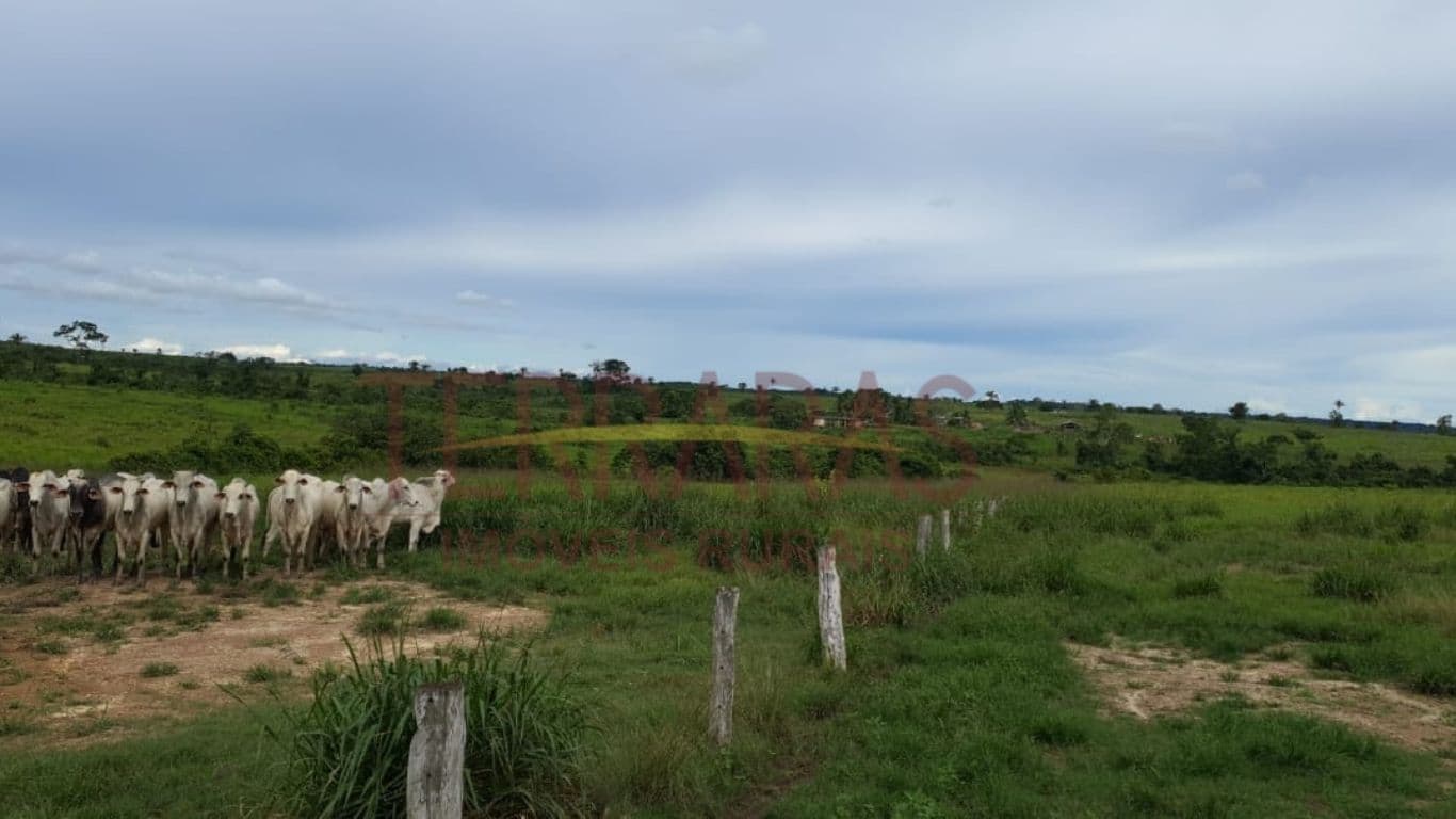 Fazenda em Santa Fé do Araguaia - TO