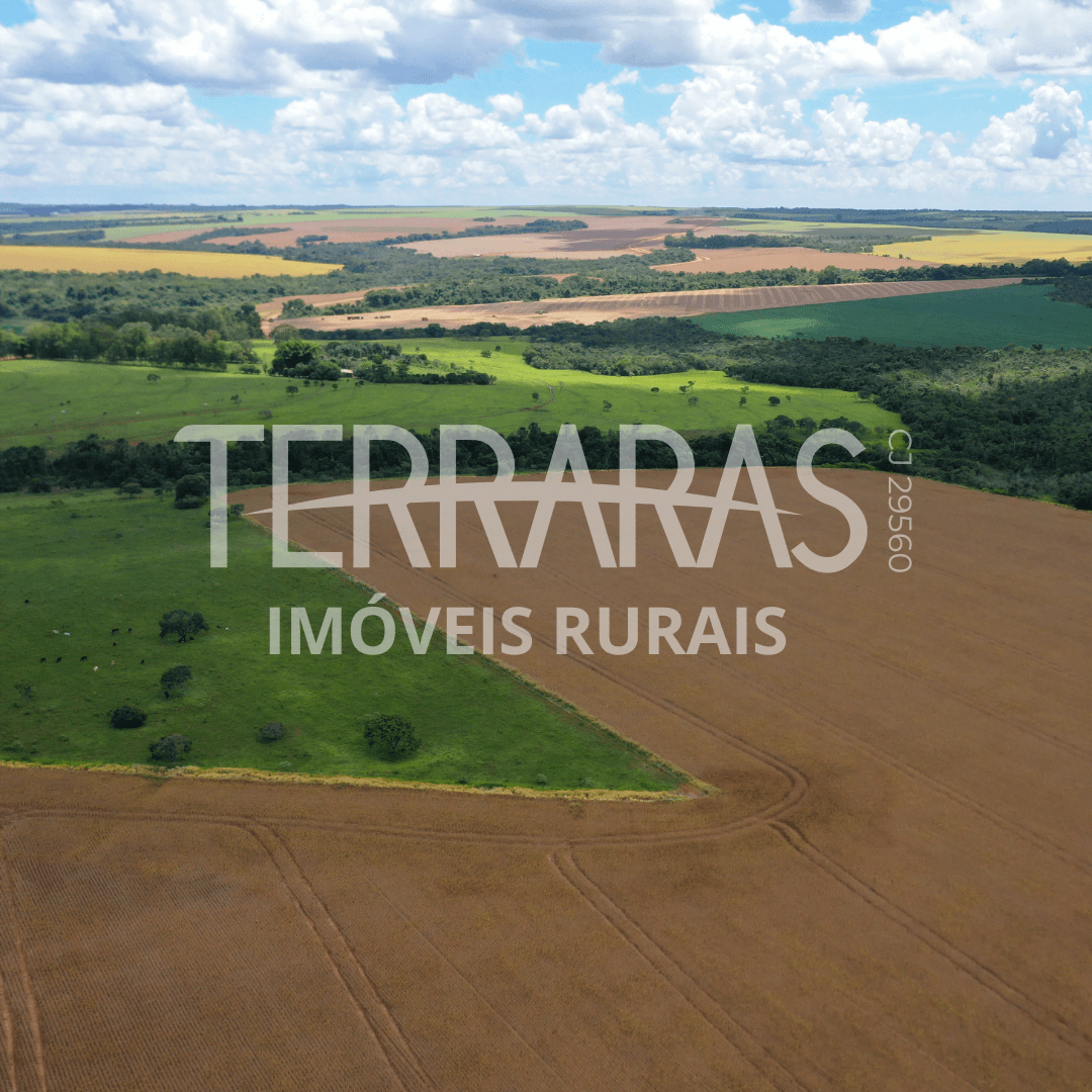 FAZENDA EM SILVÂNIA