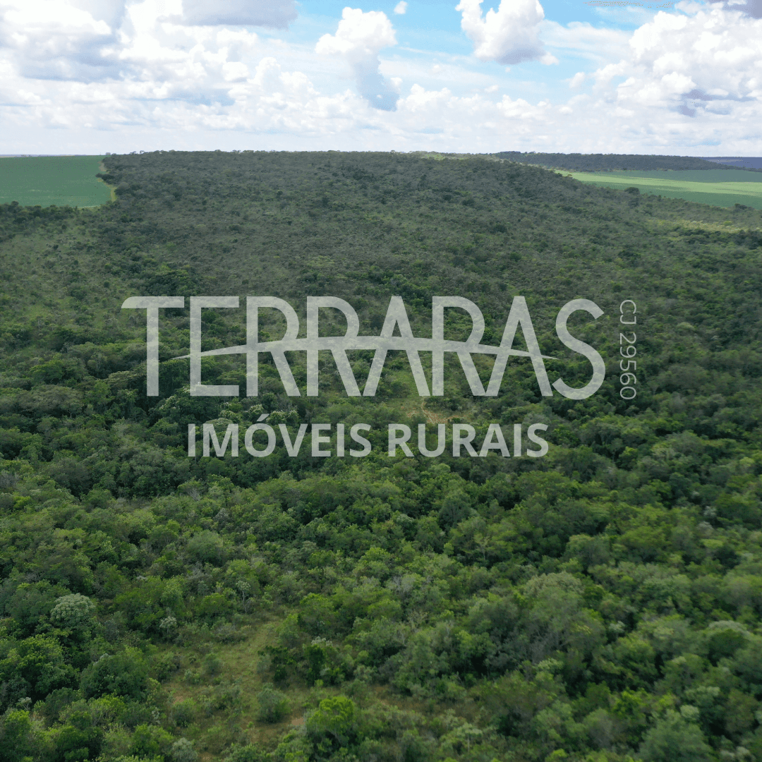 FAZENDA EM SILVÂNIA