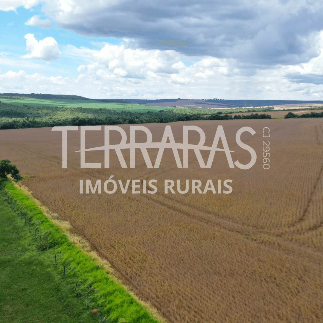 FAZENDA EM SILVÂNIA