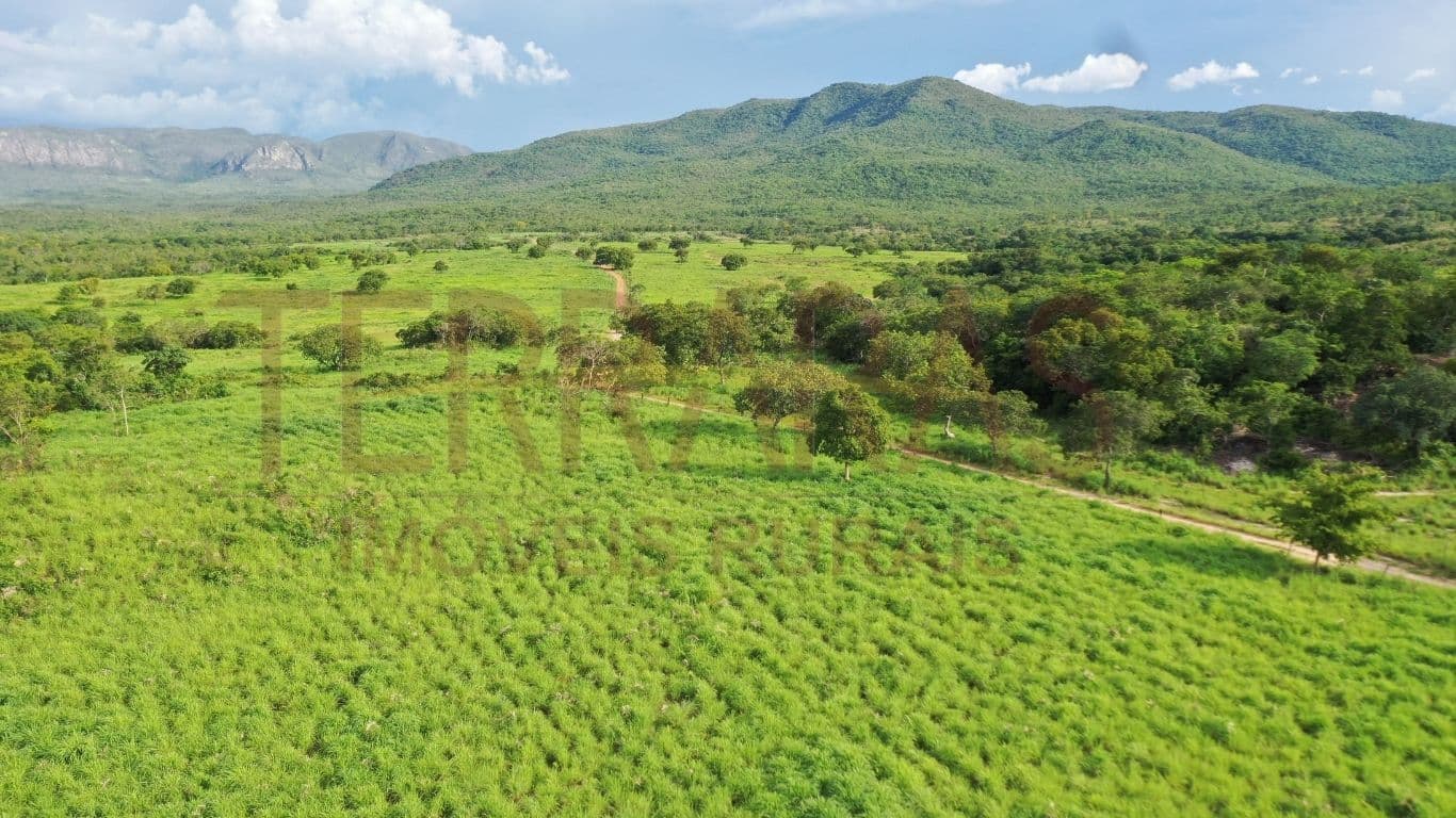 Fazenda em Teresina de Goiás/GO