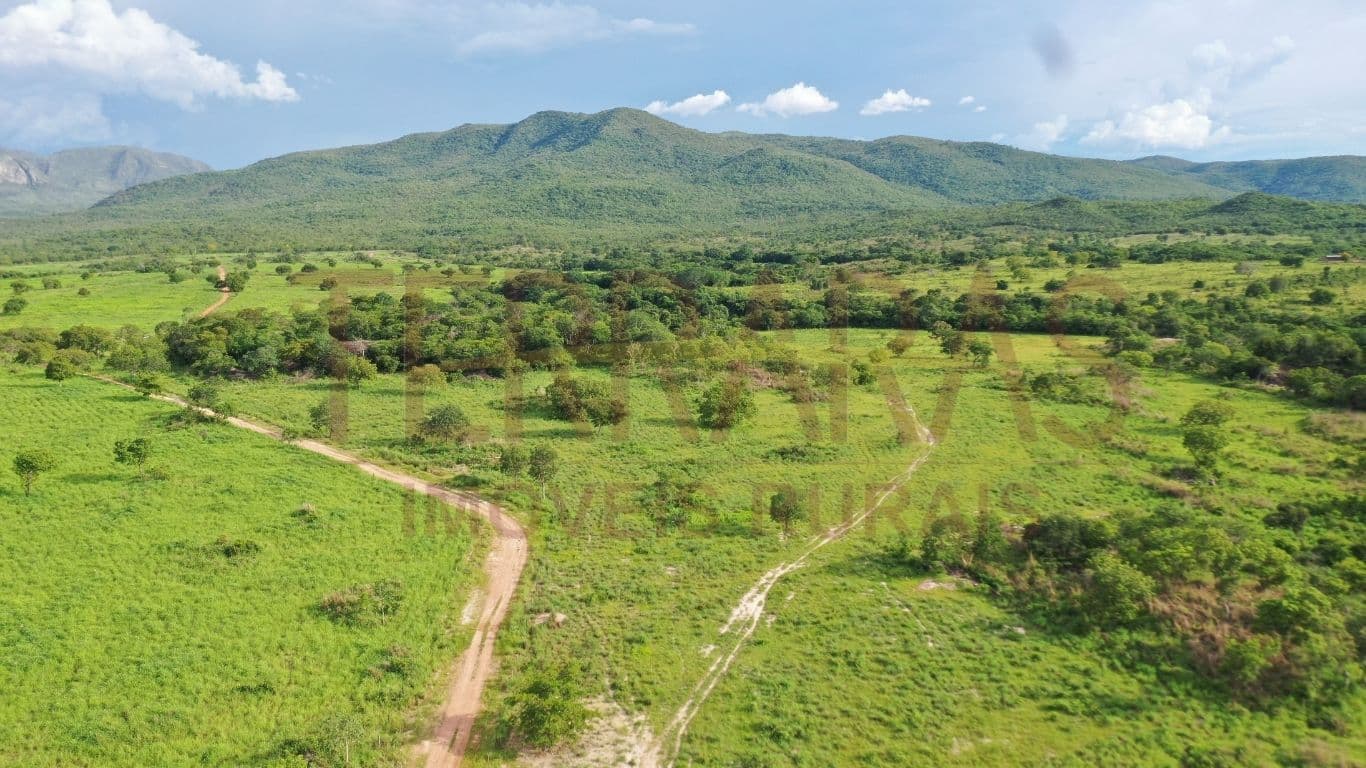 Fazenda em Teresina de Goiás/GO