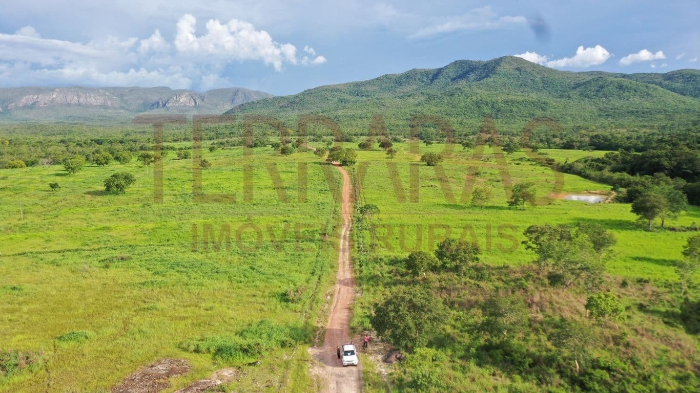 Fazenda em Teresina de Goiás/GO