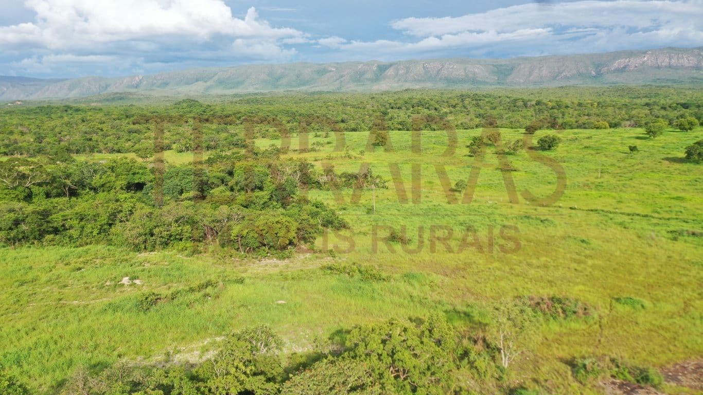 Fazenda em Teresina de Goiás/GO
